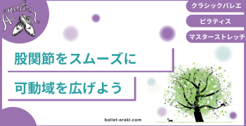 保護中: プライベート：限定公開